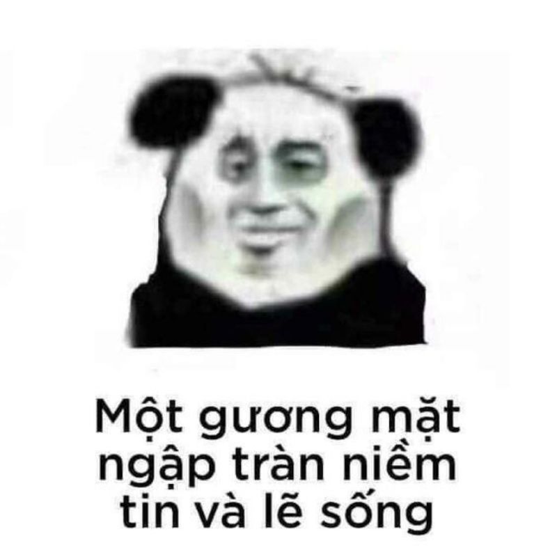 meme hài bựa