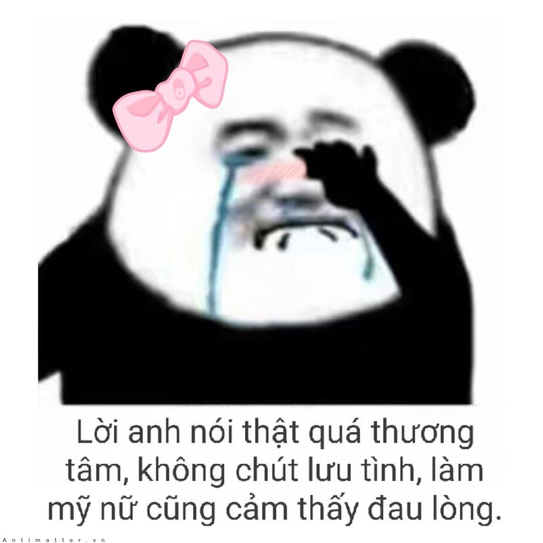 meme hài bựa