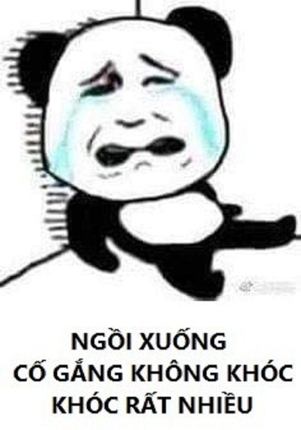 meme hài bựa