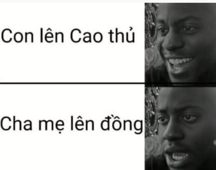 Ảnh meme hài hước, đáng suy ngẫm