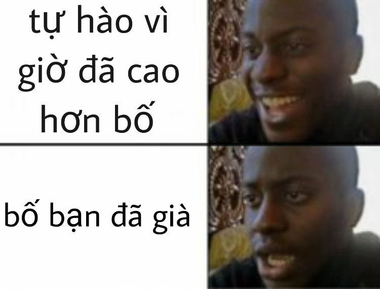 Ảnh meme bố đã già buồn