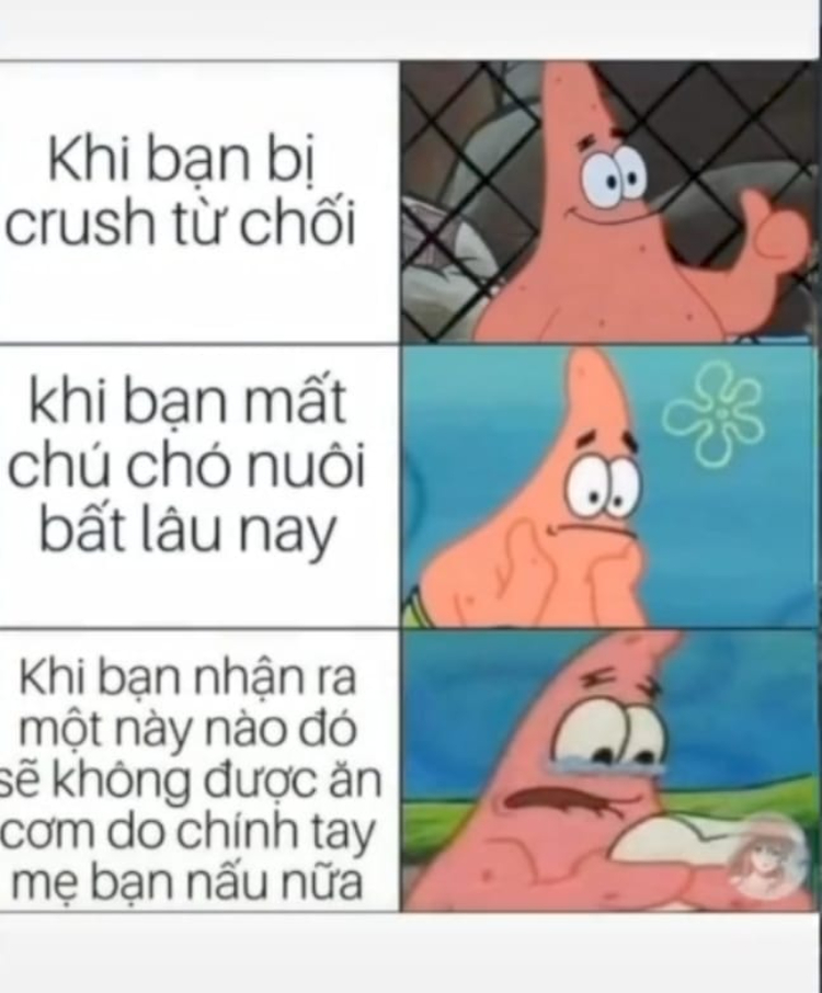 Ảnh meme cảm động
