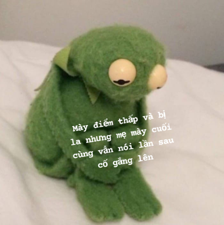 Nhân văn meme cảm động