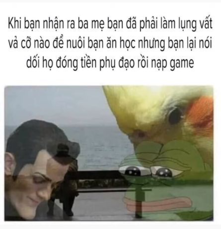 Nhân văn meme cảm động về gia đình