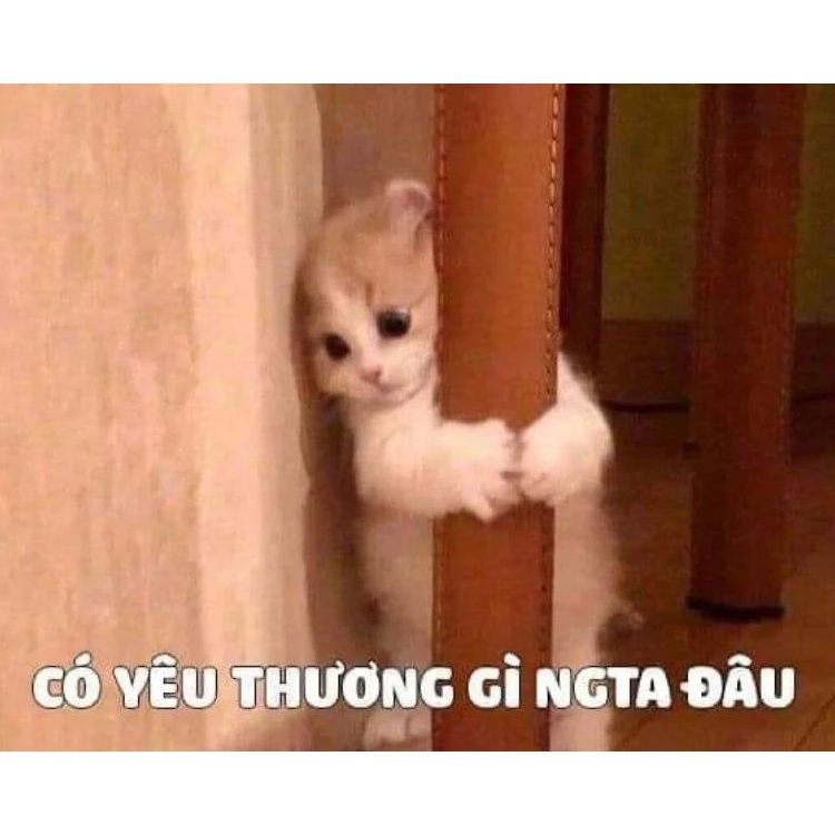 Bạn đã có người mình thích chưa?