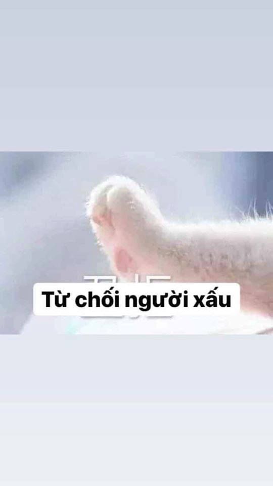 meme từ chối 