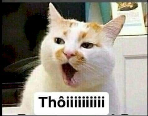 meme từ chối 
