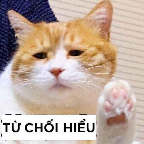 meme từ chối