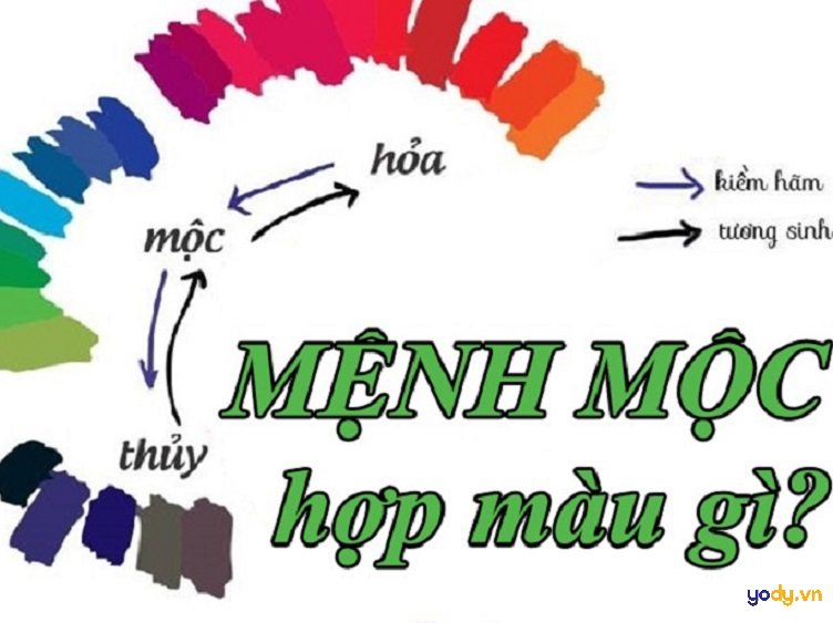 Mệnh mộc hợp màu gì?