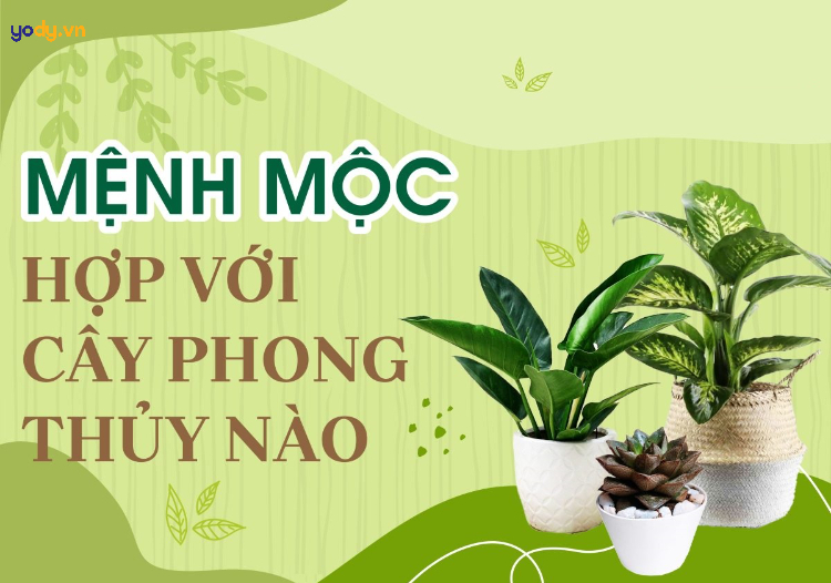 Cây hợp mệnh với cây gì?