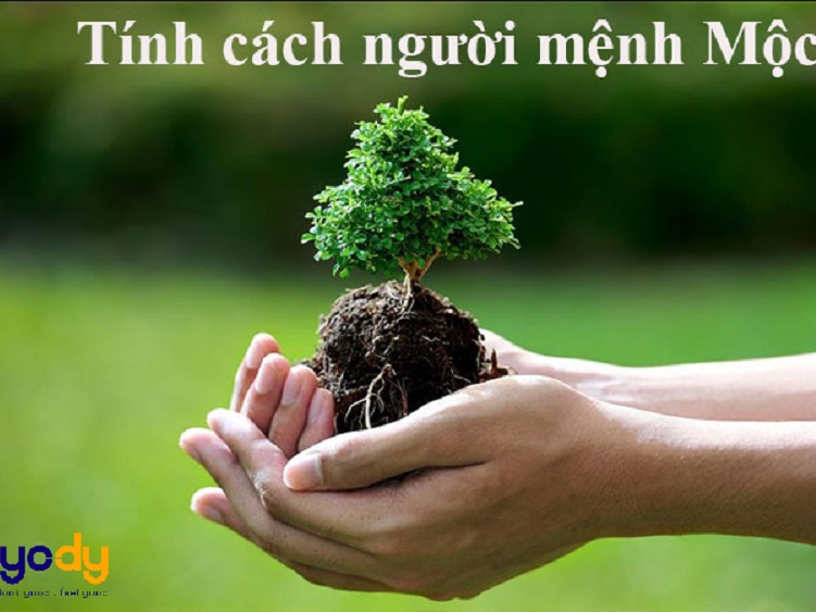 Xăm hình theo mệnh Mộc: Xăm hình theo mệnh Mộc không chỉ là một trào lưu mới mà còn gợi ý cho bạn một cách xăm hình mang tính tâm linh, đem lại may mắn và sự bình an trong cuộc sống. Có nhiều mẫu hình tuyệt đẹp để lựa chọn, hãy tham khảo và tìm cho mình mẫu hình xăm hợp với mệnh Mộc để có thể mang lại tài lộc và sự hòa hợp.