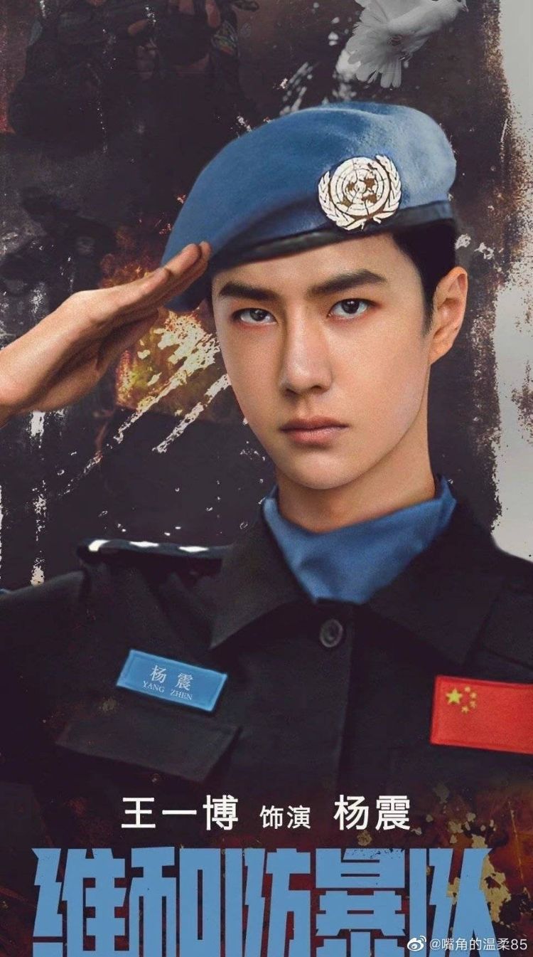Lực lượng gìn giữ hòa bình – Formed police unit