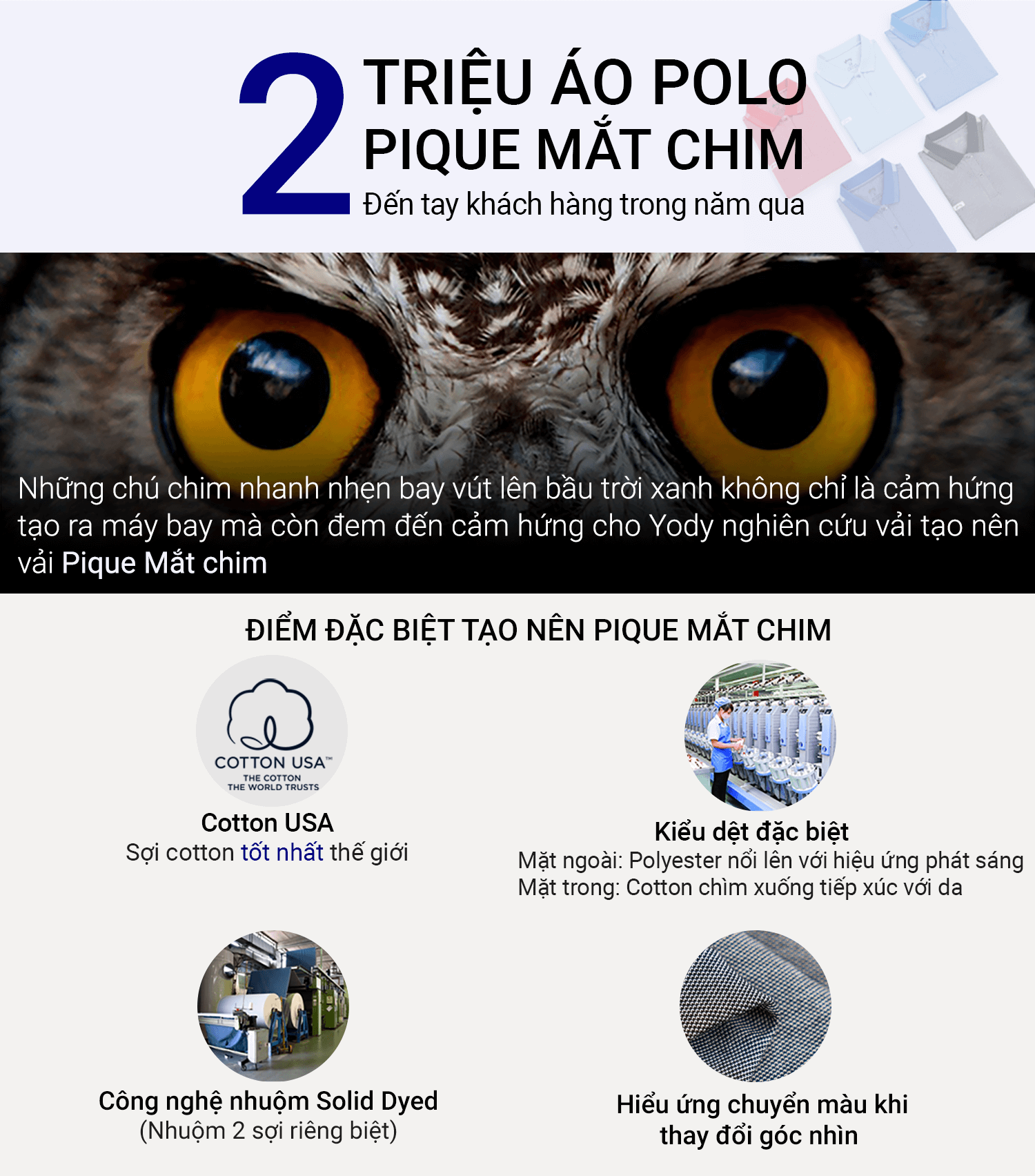 Áo Polo Nữ Mắt Chim Kéo Khóa Bo Kẻ Cách Điệu