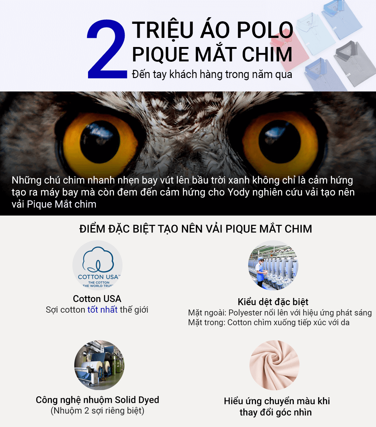 Áo Polo Nam Mắt Chim Kẻ Nhỏ