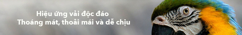 Áo Polo Nữ Mắt Chim In Kẻ