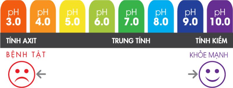 protein là gì