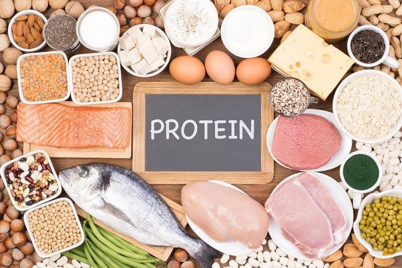 protein là gì