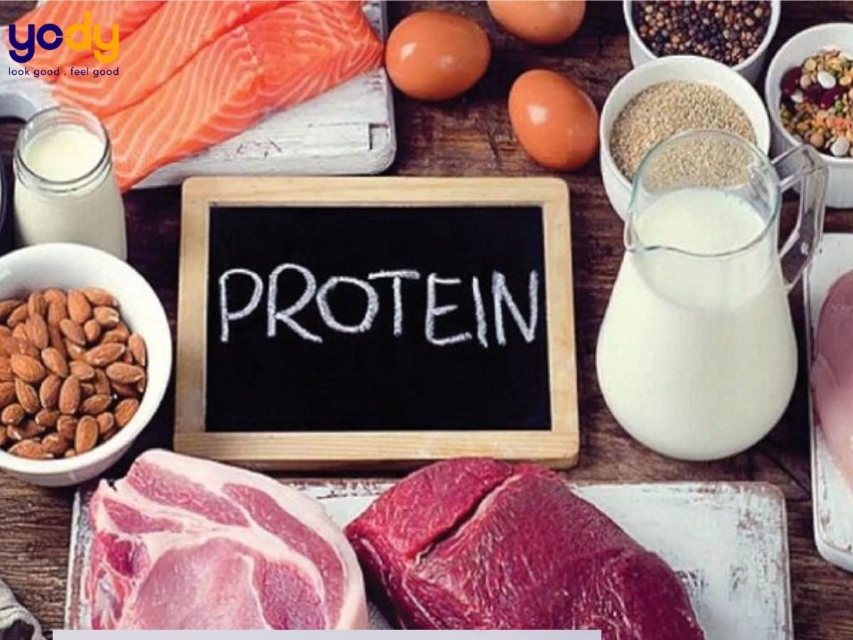 Protein là gì? Protein có trong thực phẩm nào?