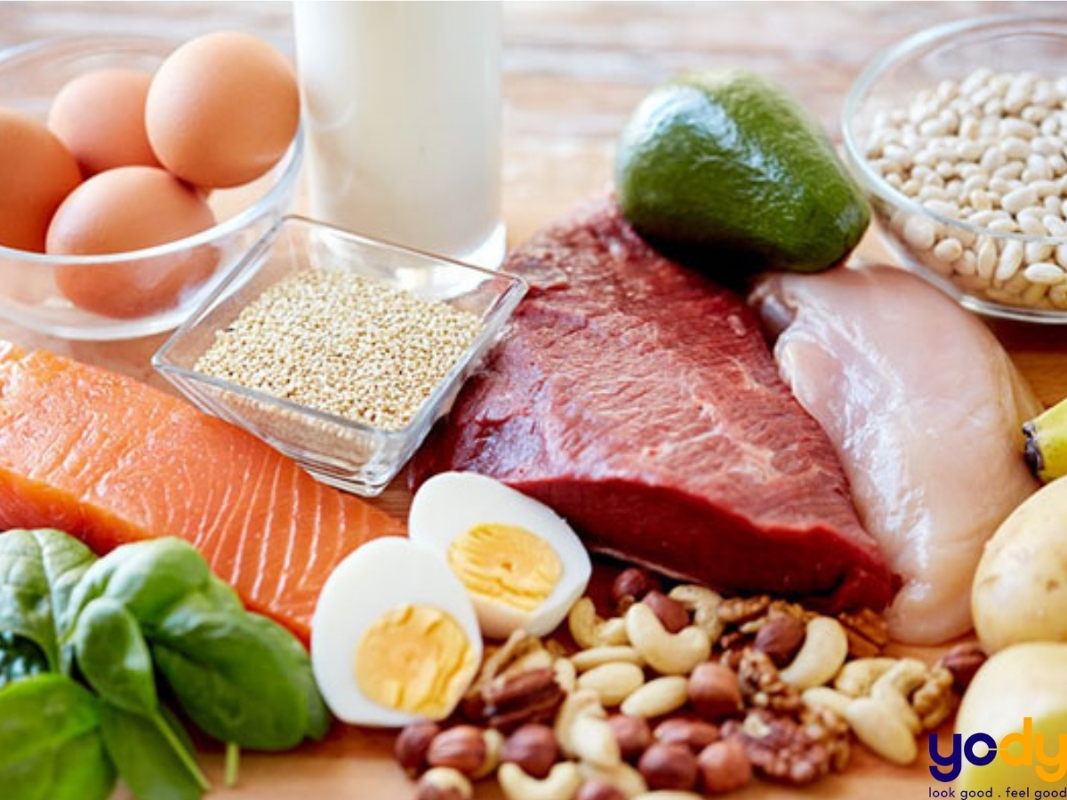 Protein là gì? Protein có trong thực phẩm nào?