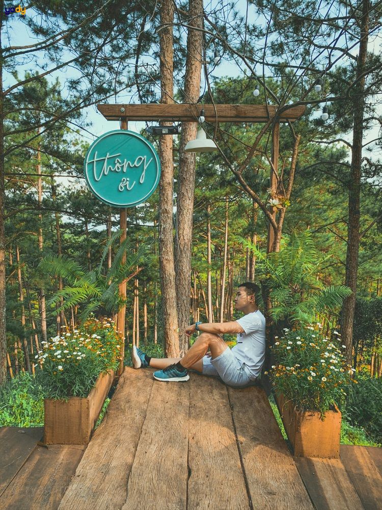 Thông ơi Coffee