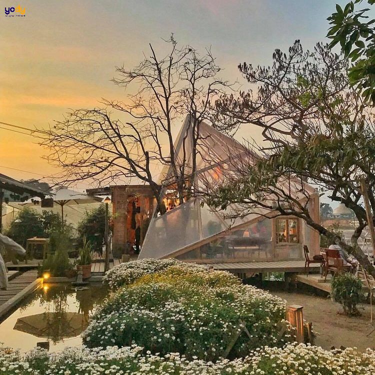 Tiệm cà phê Túi Mơ To