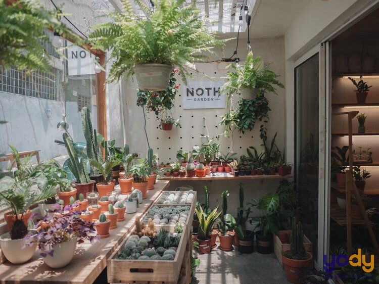 quán cafe sân vườn view đẹp hà nội