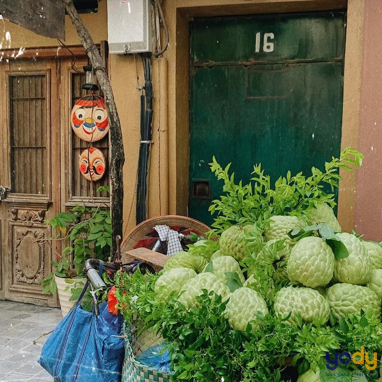 quán cafe sân vườn đẹp ở Hà Nội