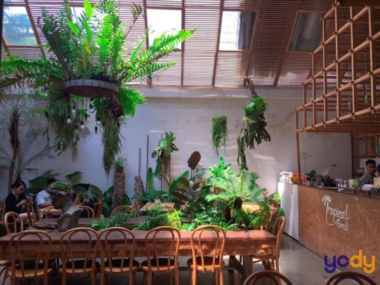 quán cafe sân vườn view đẹp hà nội