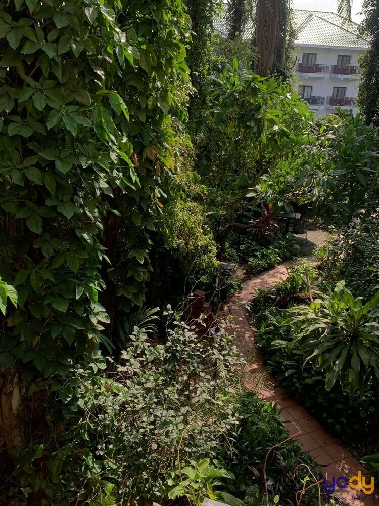 quán cafe sân vườn đẹp ở Hà Nội