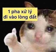 Cập nhật 2023: 20 Quê meme HÀI HƯỚC cho cuộc nói chuyện thêm THÚ VỊ, , Hỏi đáp