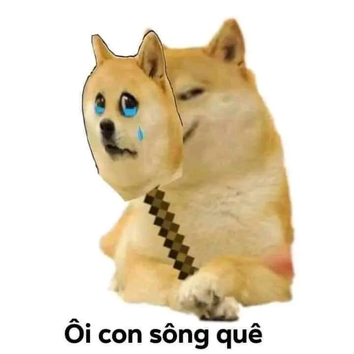 Quê meme chó inu
