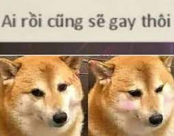 sẽ gầy meme