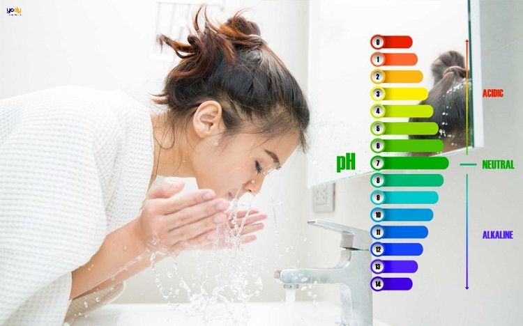 Sữa rửa mặt cho da thiên khô có độ pH từ 5.5 - 6.5