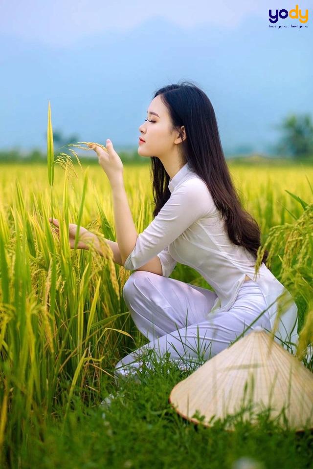 tạo dáng chụp ảnh đồng lúa