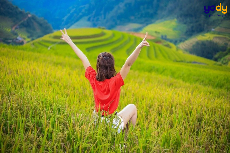 tạo dáng chụp ảnh đồng lúa