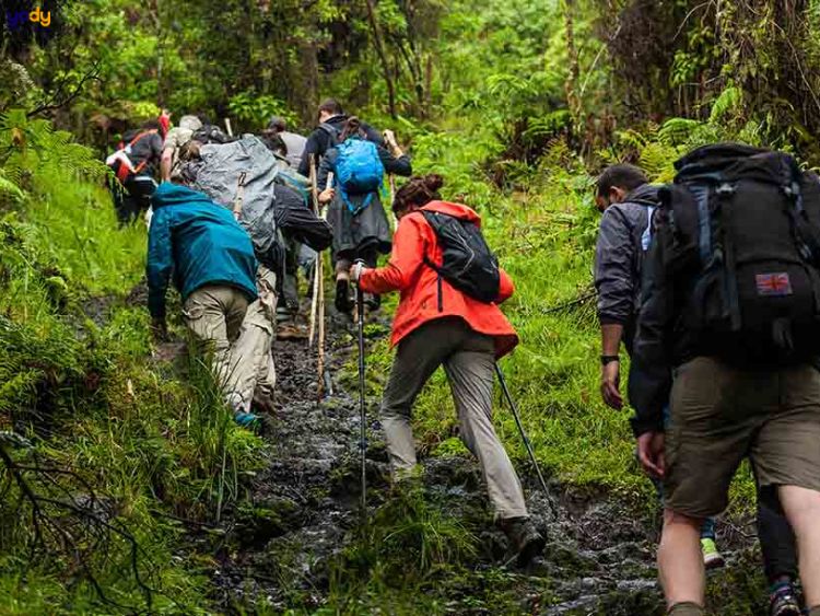 Phân biệt trekking và hiking