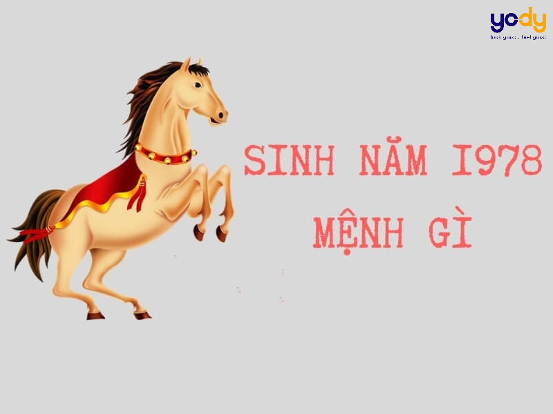 Giải mã tử vi tuổi Mậu Ngọ: Cẩm nang thông tin cực chuẩn xác 2 tử vi tuổi ngọ 1978