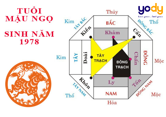Giải mã tử vi tuổi Mậu Ngọ: Cẩm nang thông tin cực chuẩn xác 7 Hướng nhà phù hợp với 1978