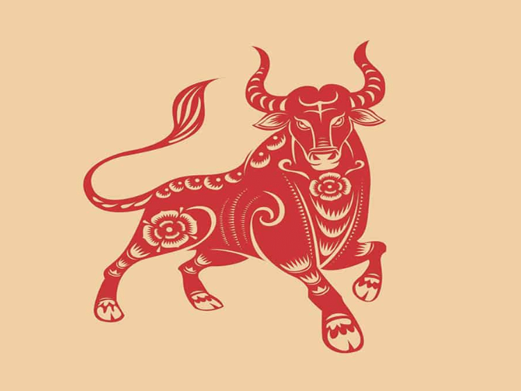 Tứ hành xung tuổi Sửu 14 Tứ hành xung tuổi Sửu Tuổi Sửu hợp màu gì? Màu sắc may mắn cho người tuổi Sửu