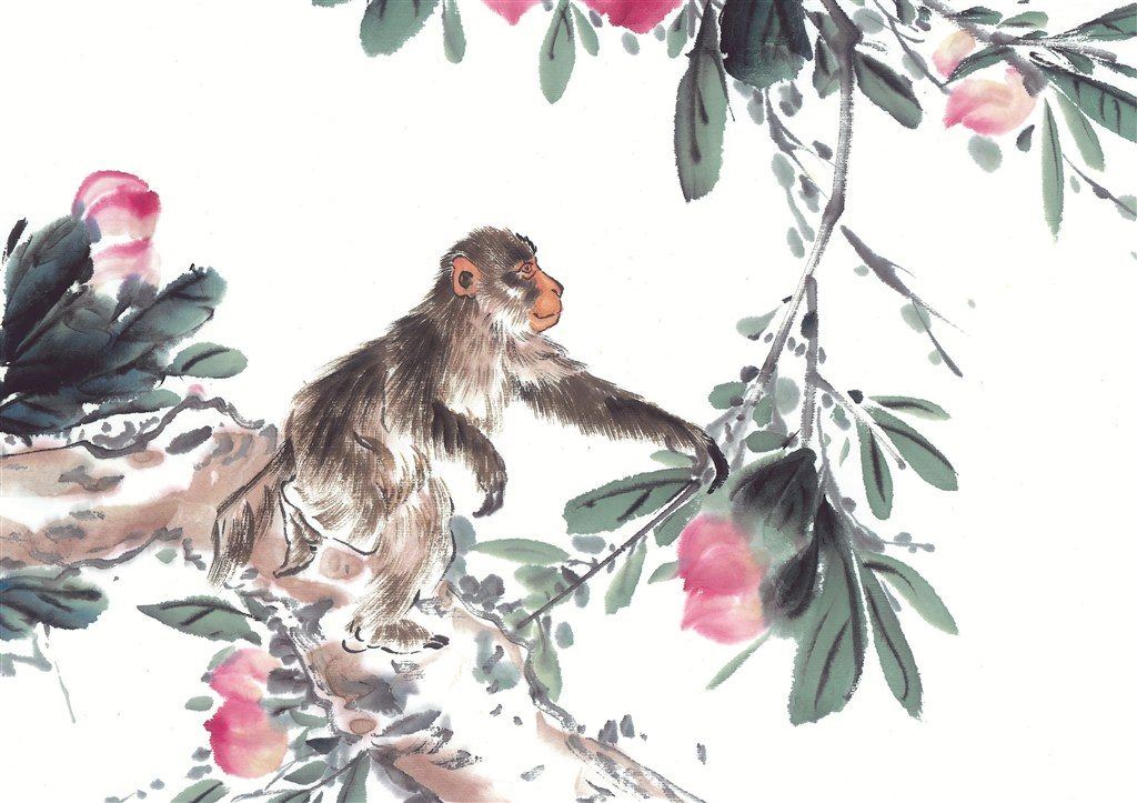 Tuổi Thân nên mặc màu gì năm 2023 để hốt trọn tài lộc?