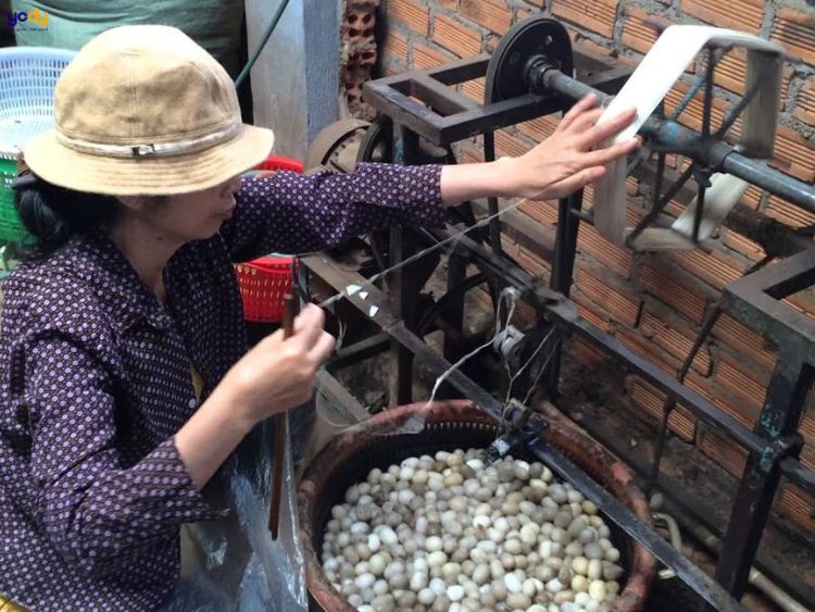 Luộc kén tằm