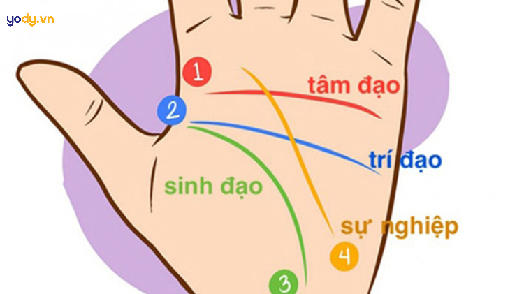 xem chỉ tay nam