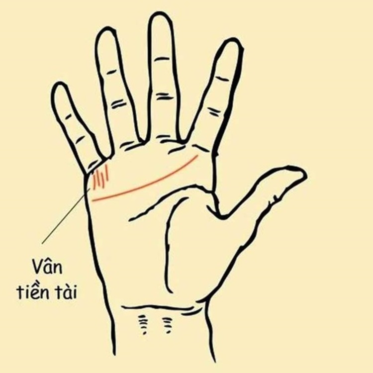 xem chỉ tay nữ