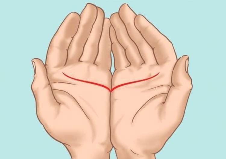 cách xem chỉ tay nữ