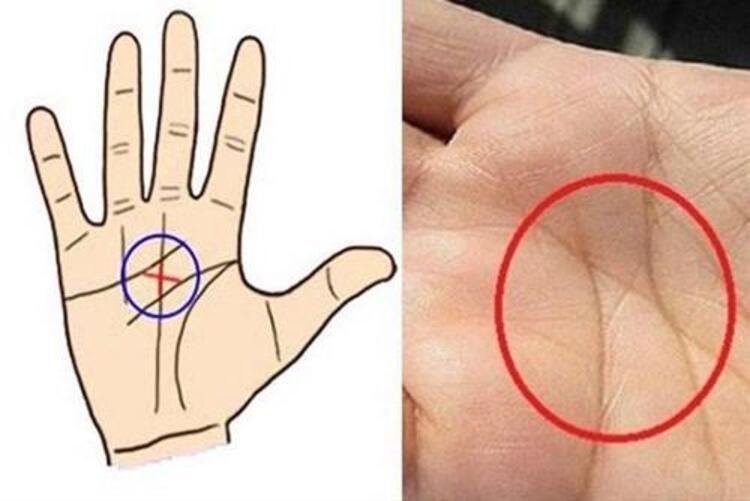 cách xem chỉ tay nữ