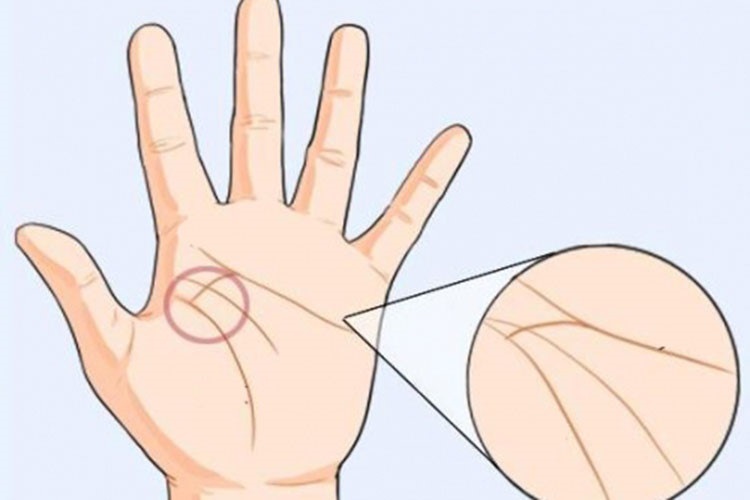 xem chỉ tay nữ