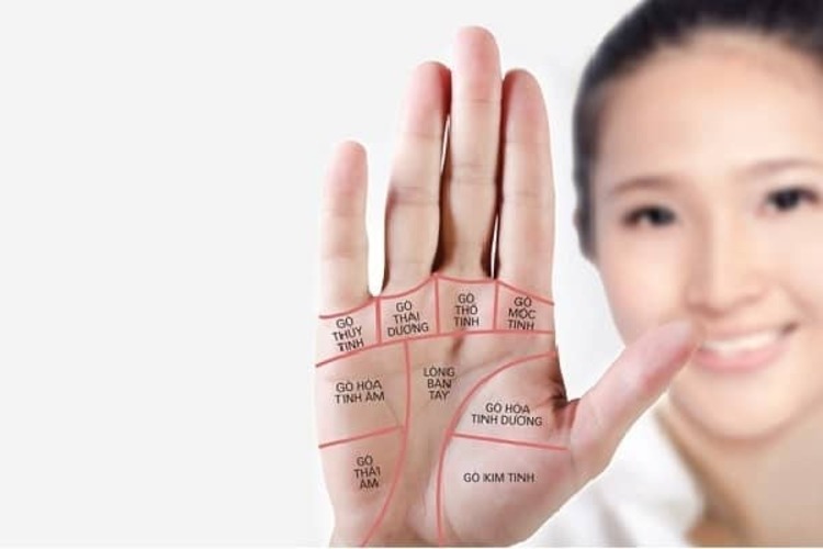cách xem chỉ tay nữ