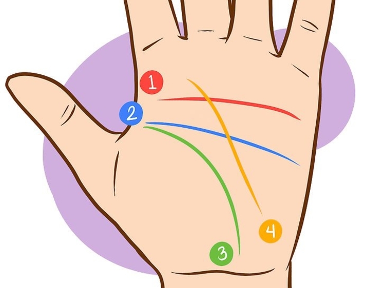 xem chỉ tay nữ