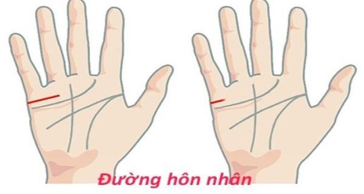 xem chỉ tay nữ