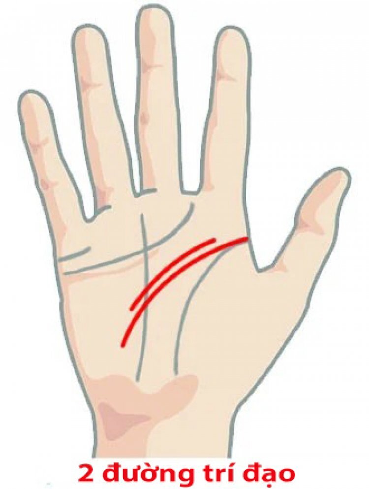 xem chỉ tay nữ